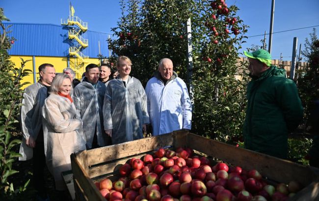 Украинские производители продолжают обеспечивать продовольственную безопасность страны