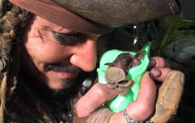 Джонни Депп взял шефство над осиротевшим летучим мышонком