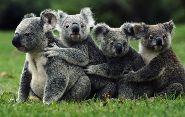 Погода на завтра: на большей части Украины без осадков, температура до +31