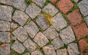 Трава между брусчаткой исчезает без химии: 4 способа, которые работают
