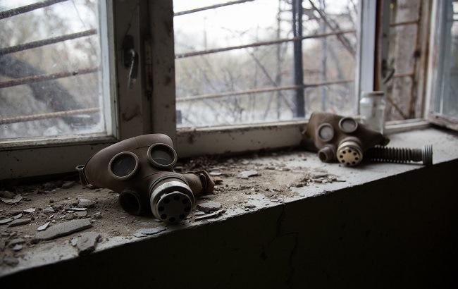 Как возрождается флора и фауна Чернобыльской зоны отчуждения (фоторепортаж)