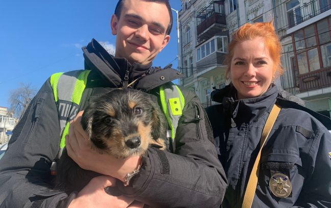 Била та поїла горілкою: у Києві поліцейські врятували тримісячне цуценя від жорстокої власниці