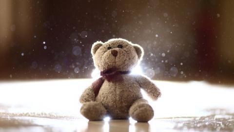 Появились детали смерти 9-летней девочки из Львовской области