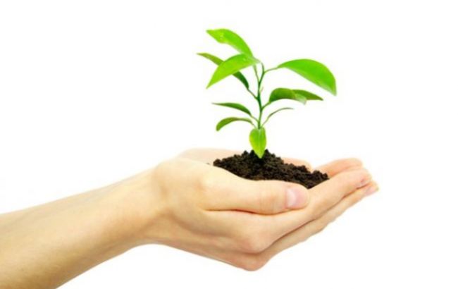 Украина заняла 44 место в рейтинге экологической эффективности