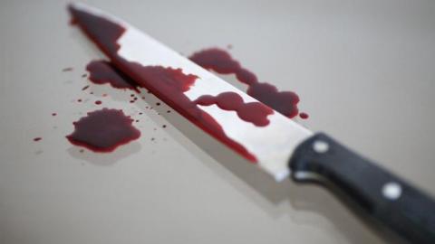 Под Киевом мужчина убил свою сожительницу и повесился