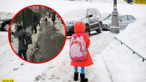 5-летнюю девочку высадили из автобуса на пустой остановке в холод: спасла соседка-школьница