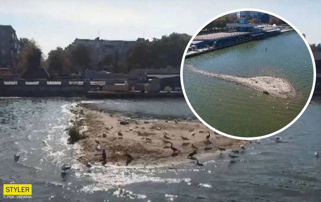 В Днепре посреди реки появился остров: экокатастрофа?