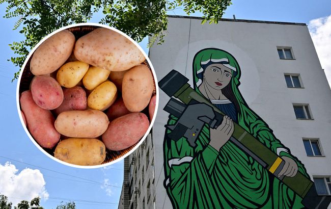 Мирами и Джавелина. Украинские аграрии создали два новых сорта картофеля (фото)