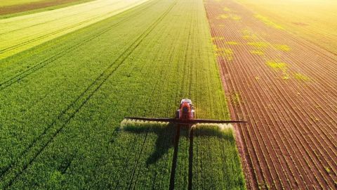 Недоступность инновационных средств защиты растений угрожает нацбезопасности, - эксперт