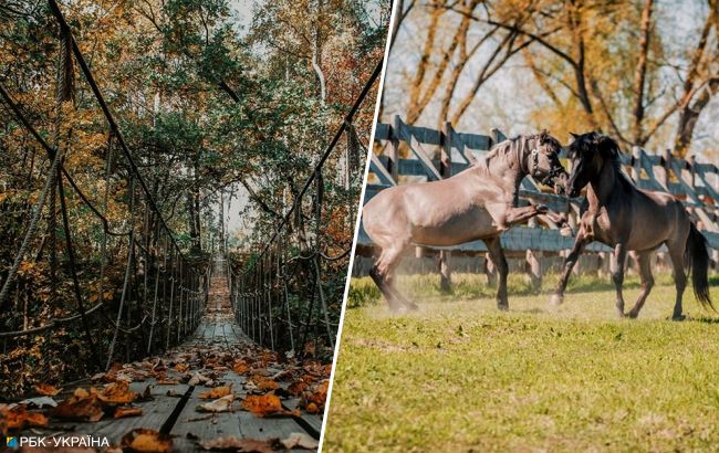 Насладиться золотой осенью. Самые красивые природные парки Украины для путешествий в октябре