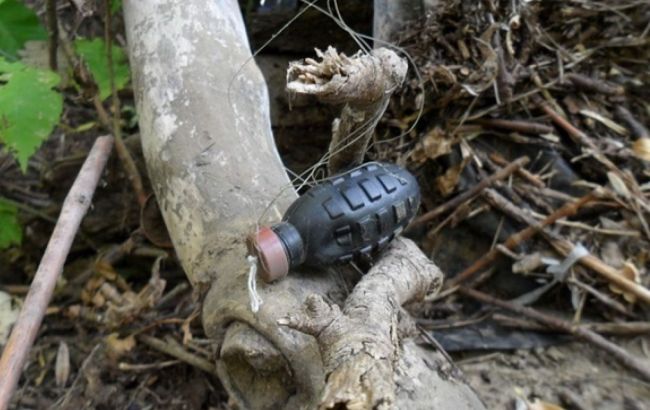 В Луганской области женщина подорвалась на взрывчатке