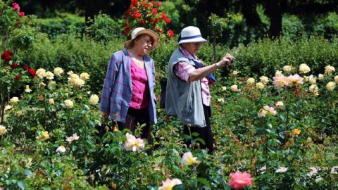 Украинцы назвали источники дополнительного дохода на пенсии