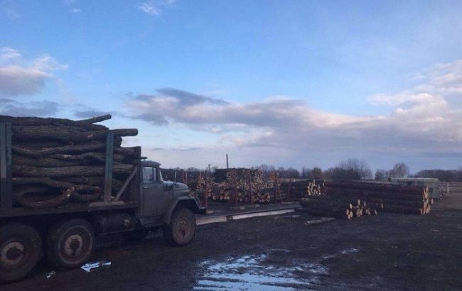 СБУ поймала на взятке в 224 тыс. гривен руководителя черкасского лесхоза