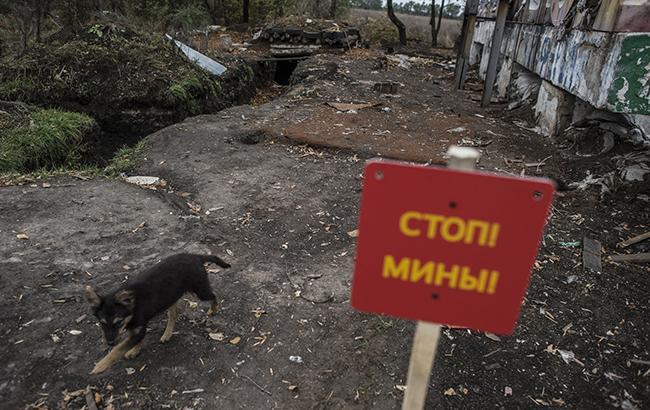 В МинВОТ назвали число гражданских, погибших на Донбассе от разрыва мин