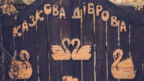 Обезьянки Анфиса и Чарлик, ослик Ося, еноты Мишка, Леля, Динька: в зоопарке под Херсоном погибло более 300 животных