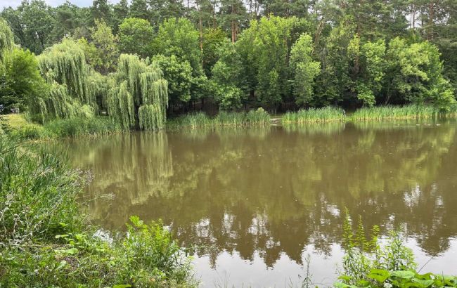 Собакам краще не купатися. В одному із парків Києва - знову катастрофа з озерами