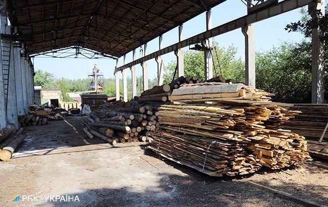МЕРТ уповноважили на переговори з ЄС щодо мораторію на експорт лісу