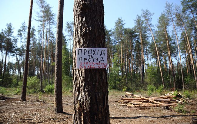В Україні запустили проект "Ліс у смартфоні"