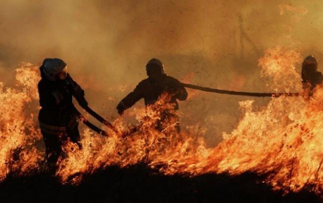 Число жертв пожаров в Хакасии выросло до 23 человек