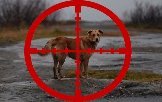 Під Дніпром пенсіонерці винесли вирок за вбивство двох собак на очах у дітей
