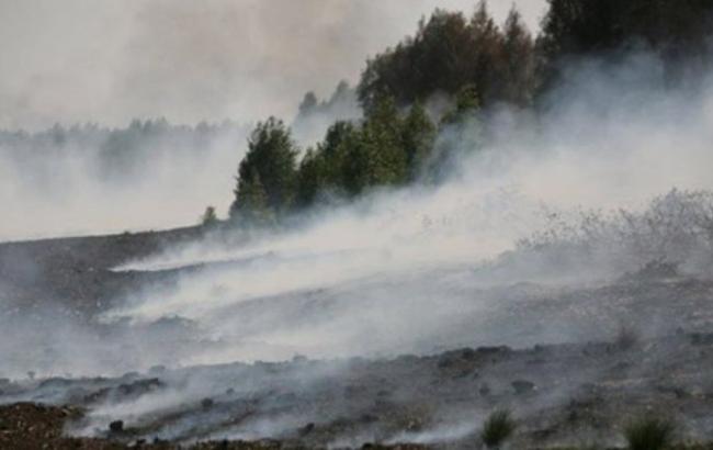 У Київській області здійснюється гасіння осередків тління торфу на площі 43,63 га