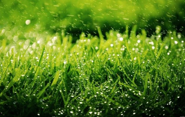 Погода на завтра: в Украине местами дожди с грозами, температура до +28