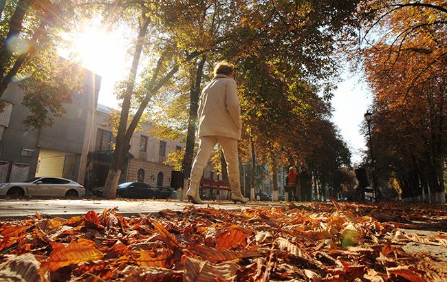 Ноябрь в Киеве побил температурную норму