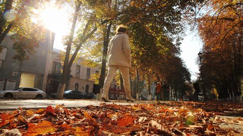 В Україні завтра потеплішає до +22