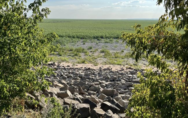 Зелене безкрайнє "поле". Дивіться, як зараз виглядає Каховське водосховище (фото і відео)