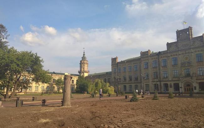 Знищення дерев у парку КПІ: проректор прокоментував спилювання 100-річних насаджень