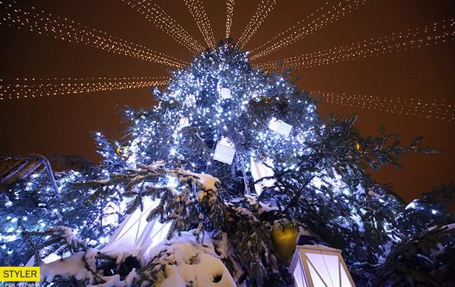 Новогодние елки Украины померялись ростом: где самая высокая (инфографика, видео)