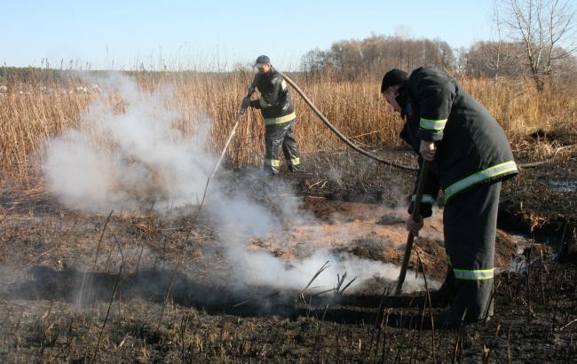 Рятувальникам залишилося загасити один осередок тління торфовищ під Києвом