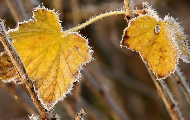 ДСНС попереджає про заморозки в ряді регіонів України 21-23 вересня