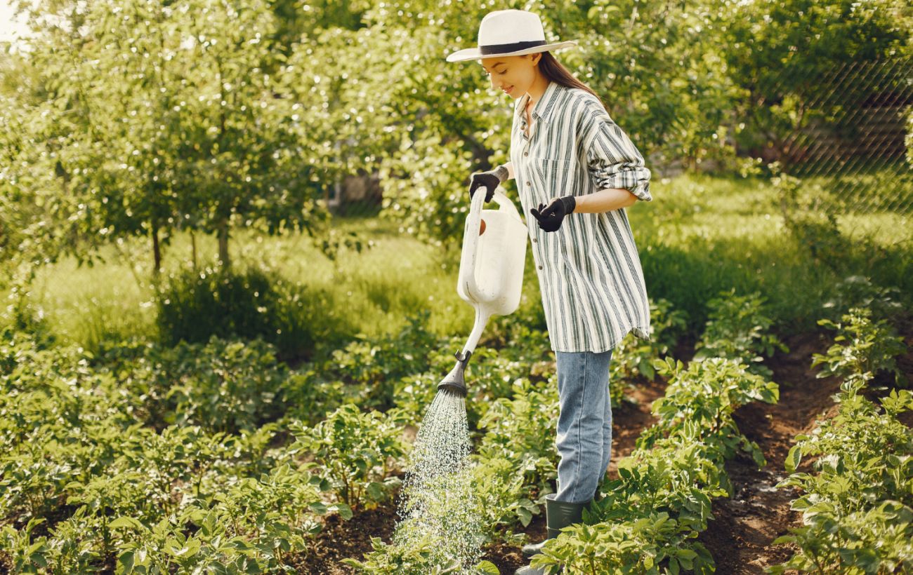 Замінить дорогі засоби: 4 способи використати звичайний оцет на городі