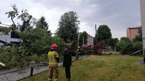 У Польщі через шторм перенесли авіарейси
