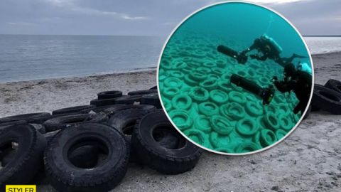 Яд для Азовского моря: акватория находится на грани экологической катастрофы