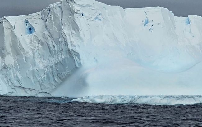 Украинские полярники показали огромный айсберг в Антарктике: невероятные фото