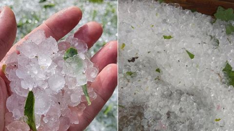 Под Киевом выпал крупный град: известный политик показала последствия непогоды (фото)