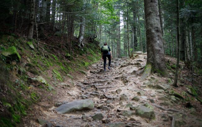 На Прикарпатье уже вторые сутки ищут 6-летнего мальчика