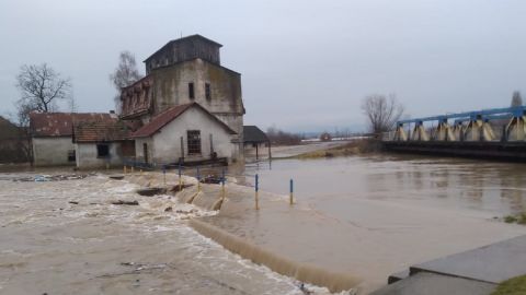 На Закарпатті затопило село, а річка Тиса підступає до Виноградова (відео, фото)