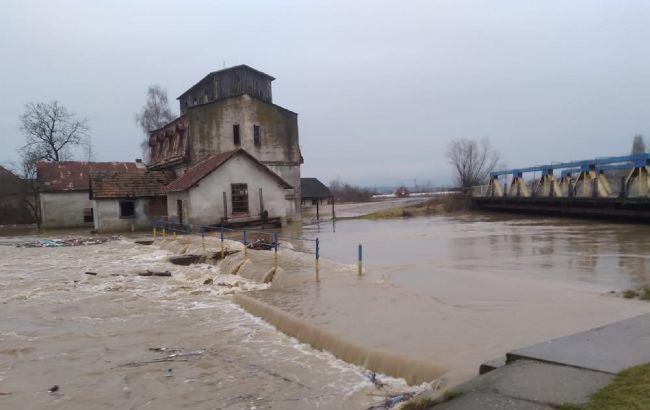 На Закарпатье затопило село, а река Тиса подступает к Виноградову (видео, фото)