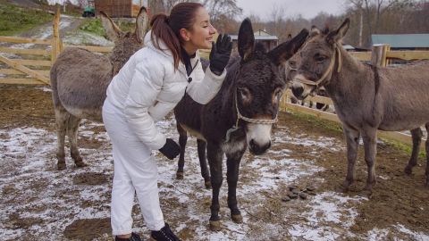Парк природы и милые животные: лучшие локации для зимних путешествий с детьми