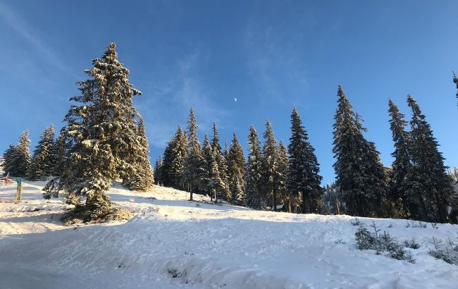 Гірськолижний курорт Карпат засипало снігом: яскраві фото і відео