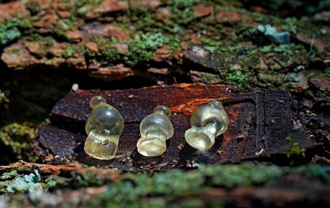 Під Полтавою знайшли унікальні прикраси часів скіфів: як вони виглядають