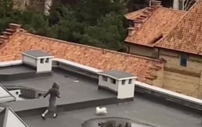В Одессе мужчина решил выгулять собаку на крыше дома, но что-то пошло не так: курьезное видео