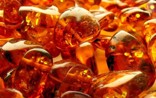 У Рівненській області вилучили бурштин та обладнання на 62 млн грн