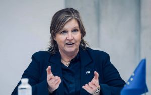 "Підприємства закриваються через нашу політику": євродепутатка про квоти й CBAM для України