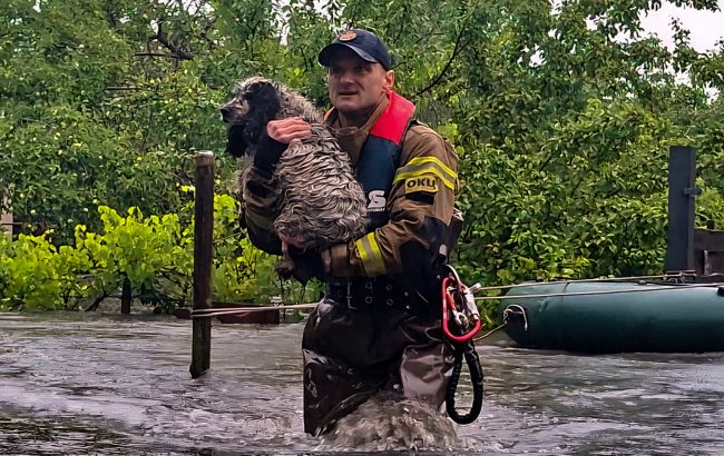 Затопило 230 домов: в Львовской области за сутки выпала годовая норма дождей