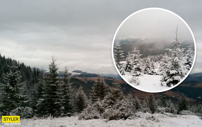 Зимняя сказка в Карпатах: в сети появились впечатляющие фотографии