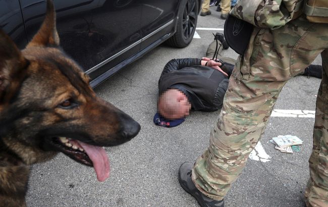 У Львівській області блокували схему з завезенням пікапів нібито для ЗСУ